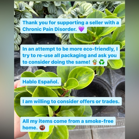 Grogu Gift Set: Grogu ears headband, Grogu holding soup ring, Grogu bead fuse - Picture 6 of 7